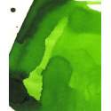 Encre Albo Vert anglais - 250 ml